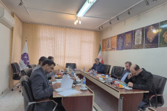 برگزاری نشست هیات علمی بنیاد بین‌المللی امام رضا (ع) در تهران