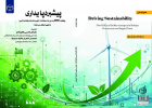 کتاب «پیشبرد پایداری» وارد بازار نشر شد